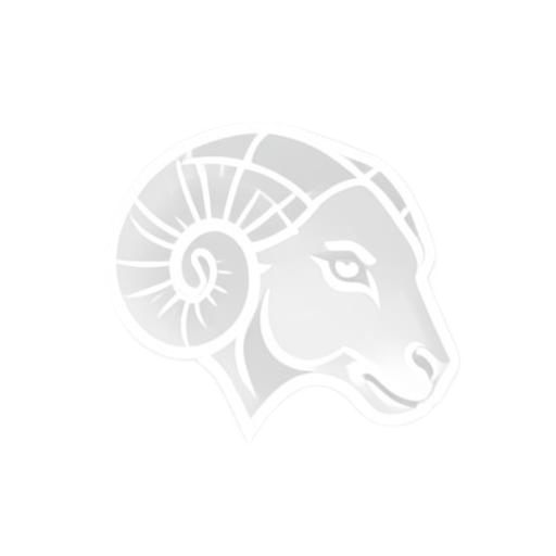 College athletics program emblem